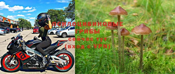 экстази Бородино