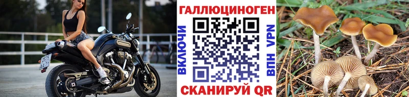мега ССЫЛКА  Елизаветинская  Галлюциногенные грибы Cubensis 
