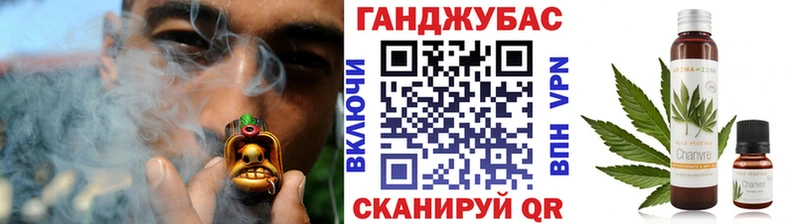 Бошки Шишки планчик Елизаветинская